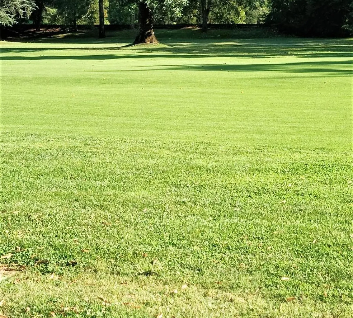 Appartamento Fronte Del Golf Rapallo Italia