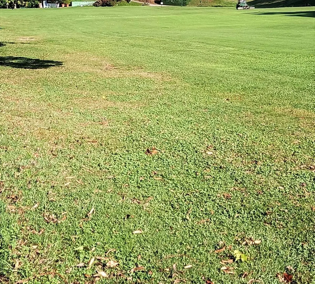 Appartamento Fronte Del Golf Rapallo